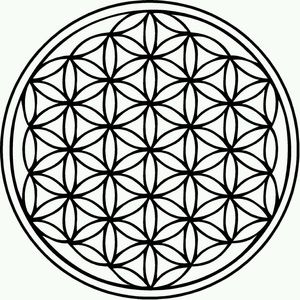 Meet your Posher, Blake